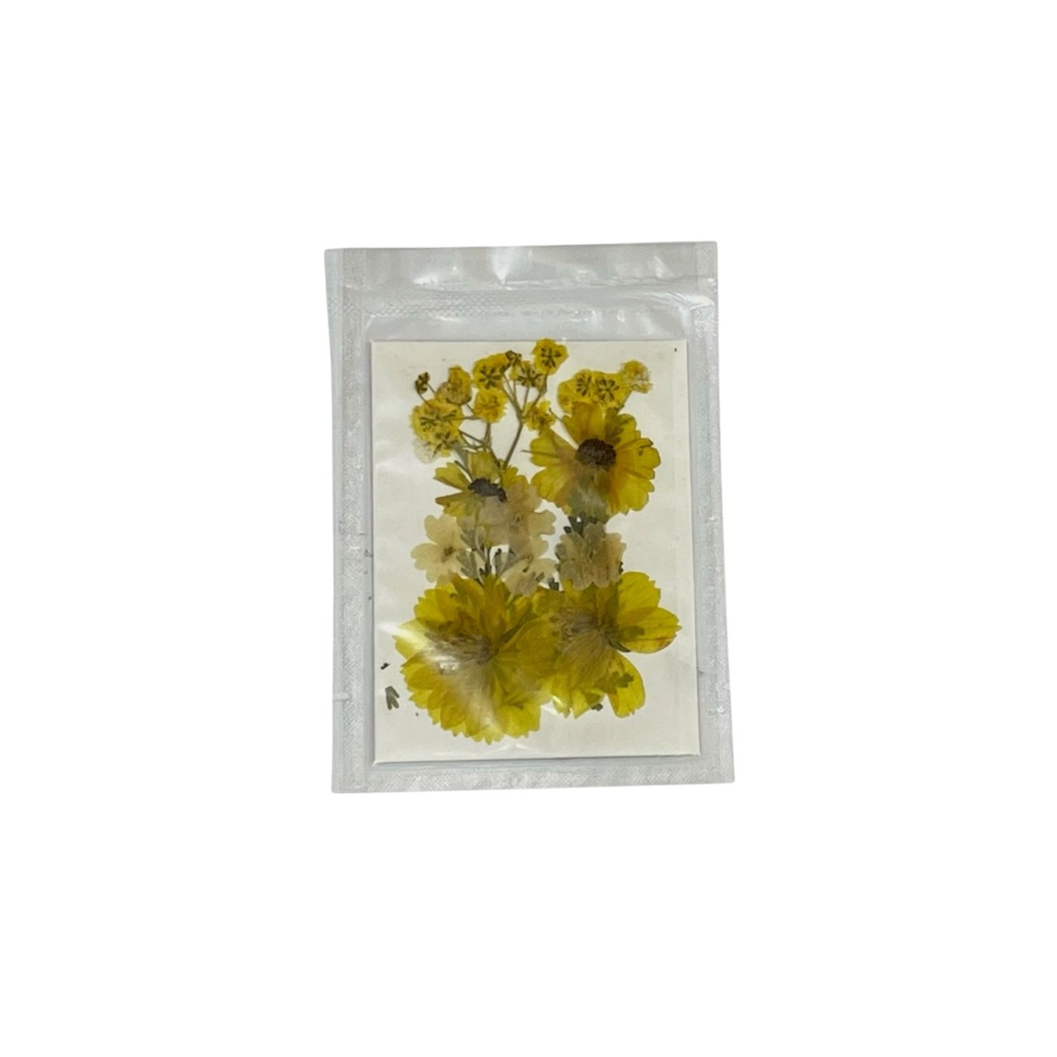 Original Dry flower Press Small Pkt