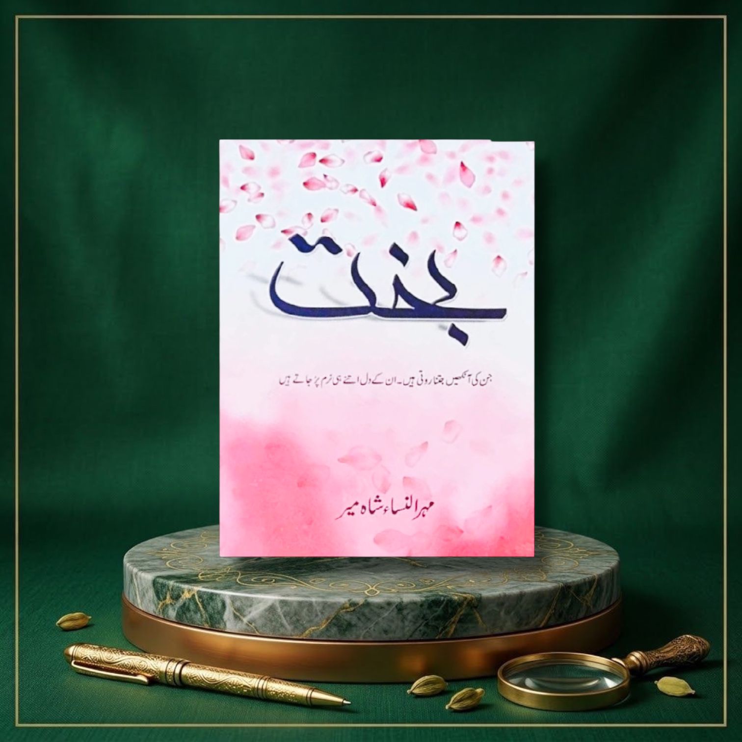 Bakht Mehrunisa Shahmeer
