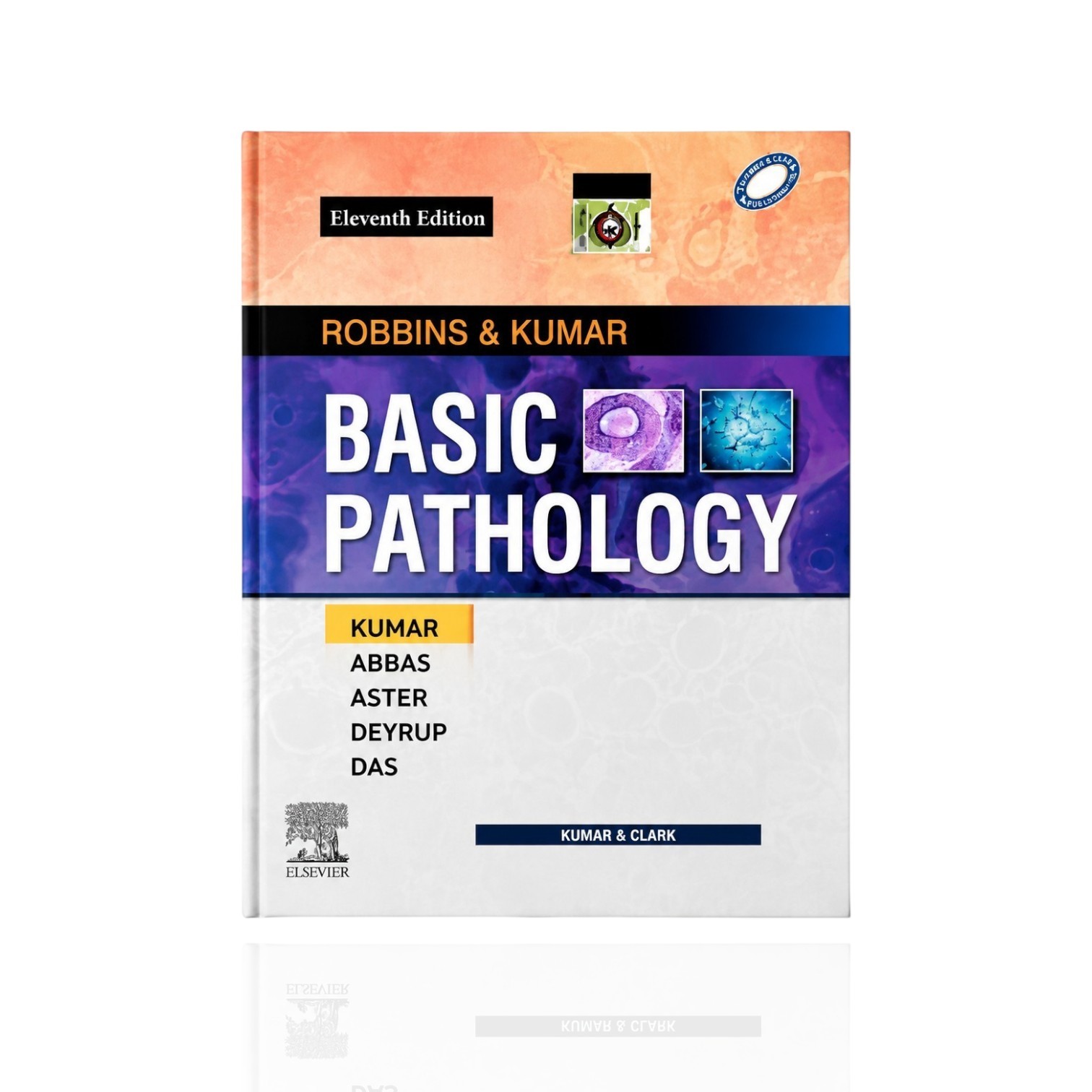Basic Pathology 11th Edition By Kumar Abbas Aster