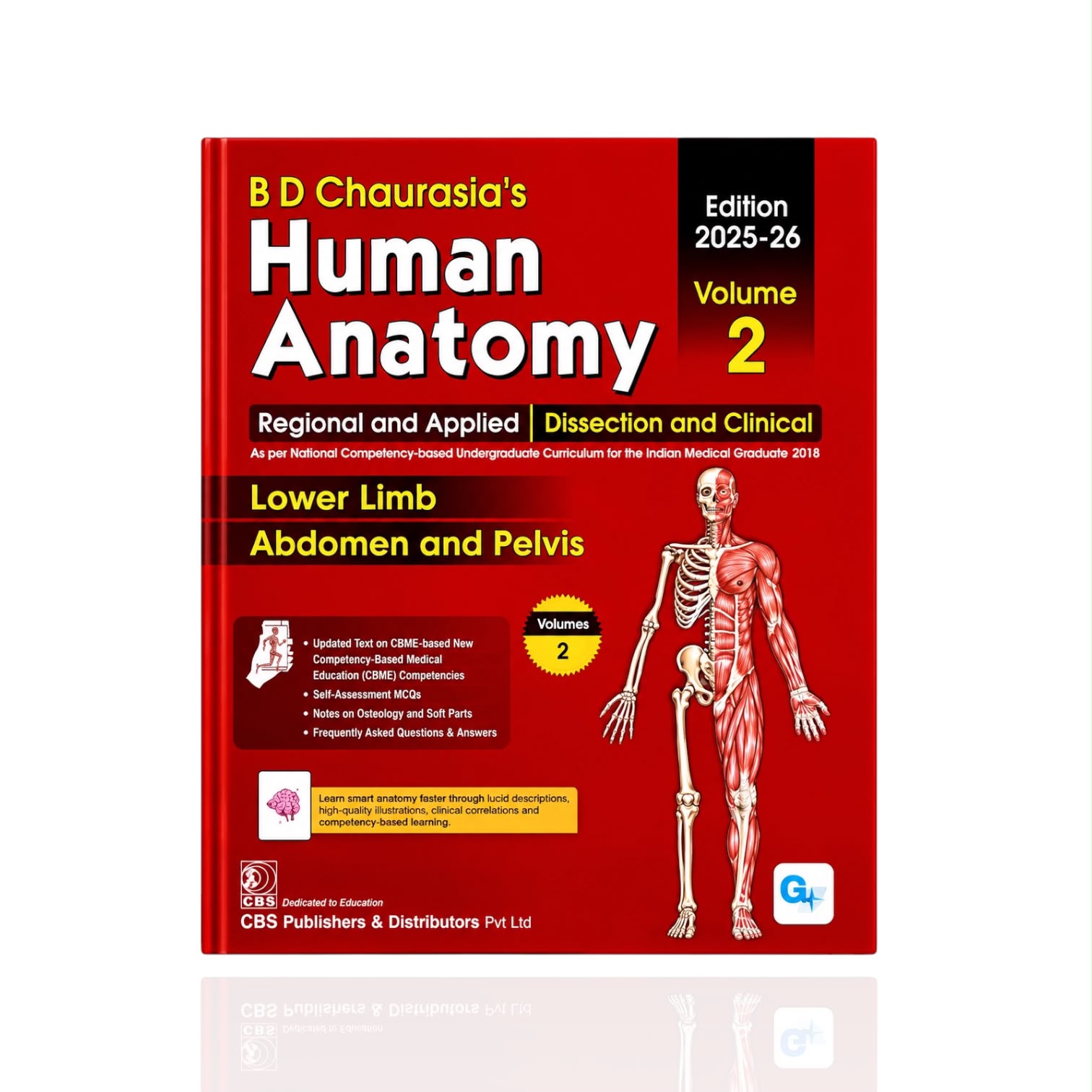Human Anatomy Lower Limb Abdomen And pelvis Volume-2