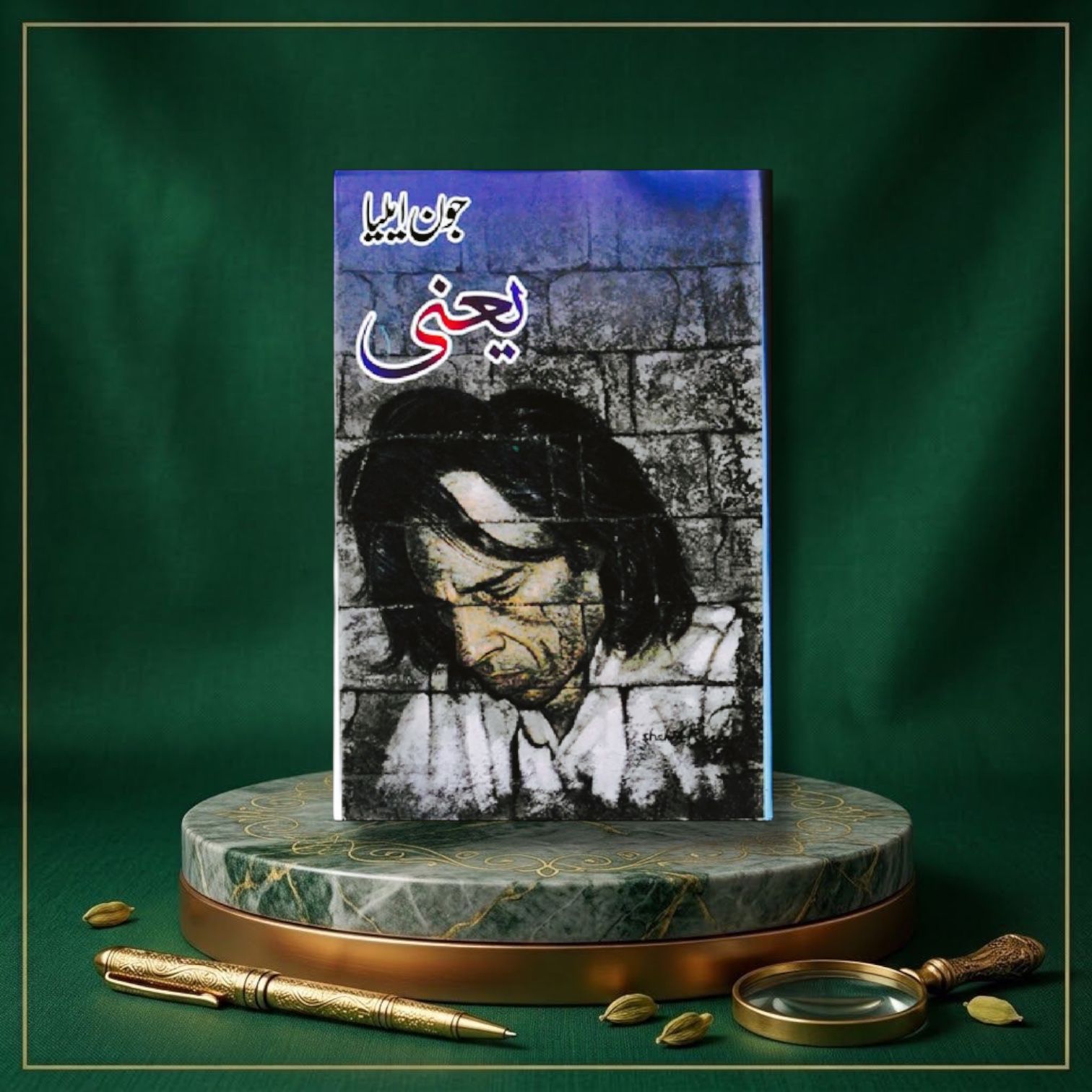 Yani By Jon Elia