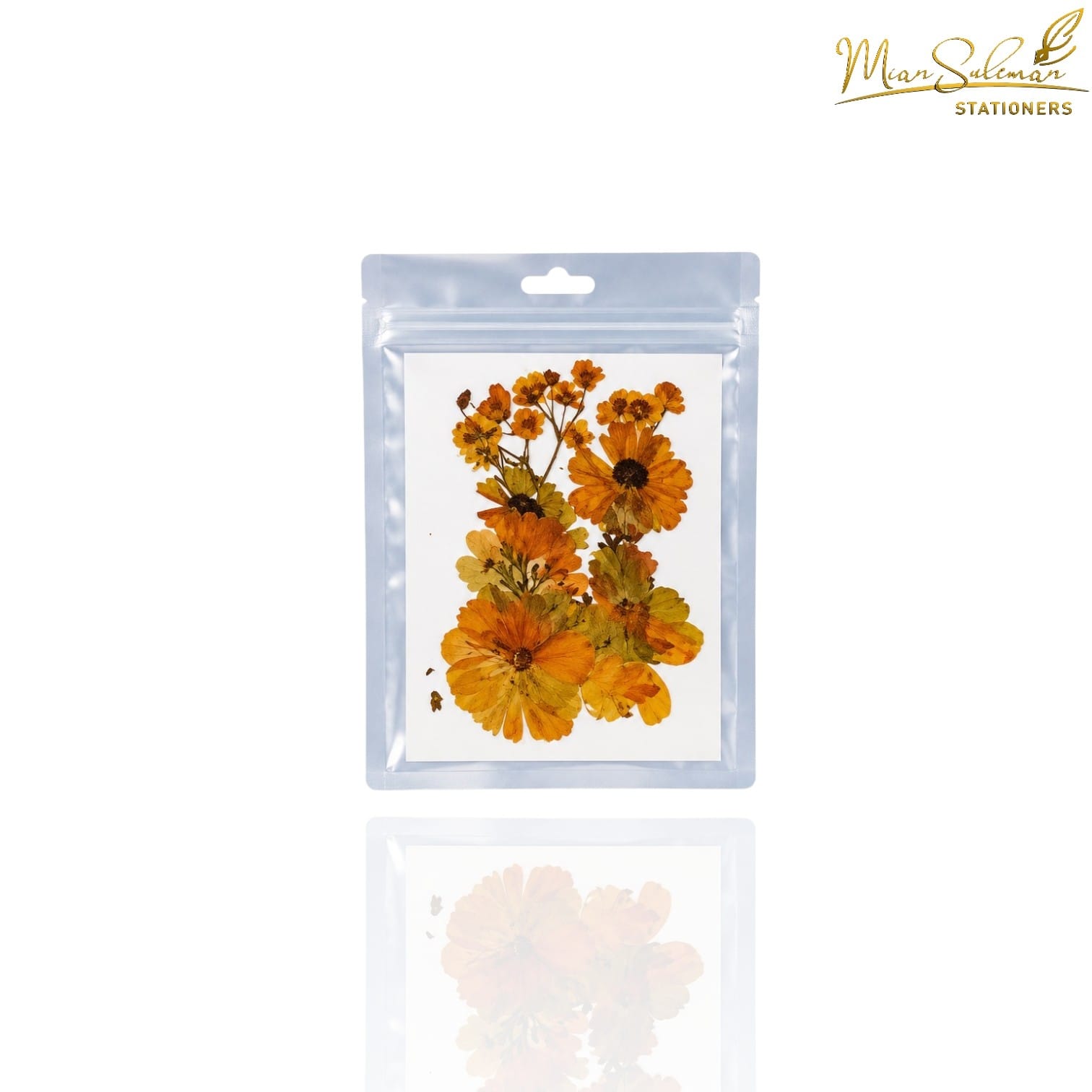 Original Dry flower Press Small Pkt