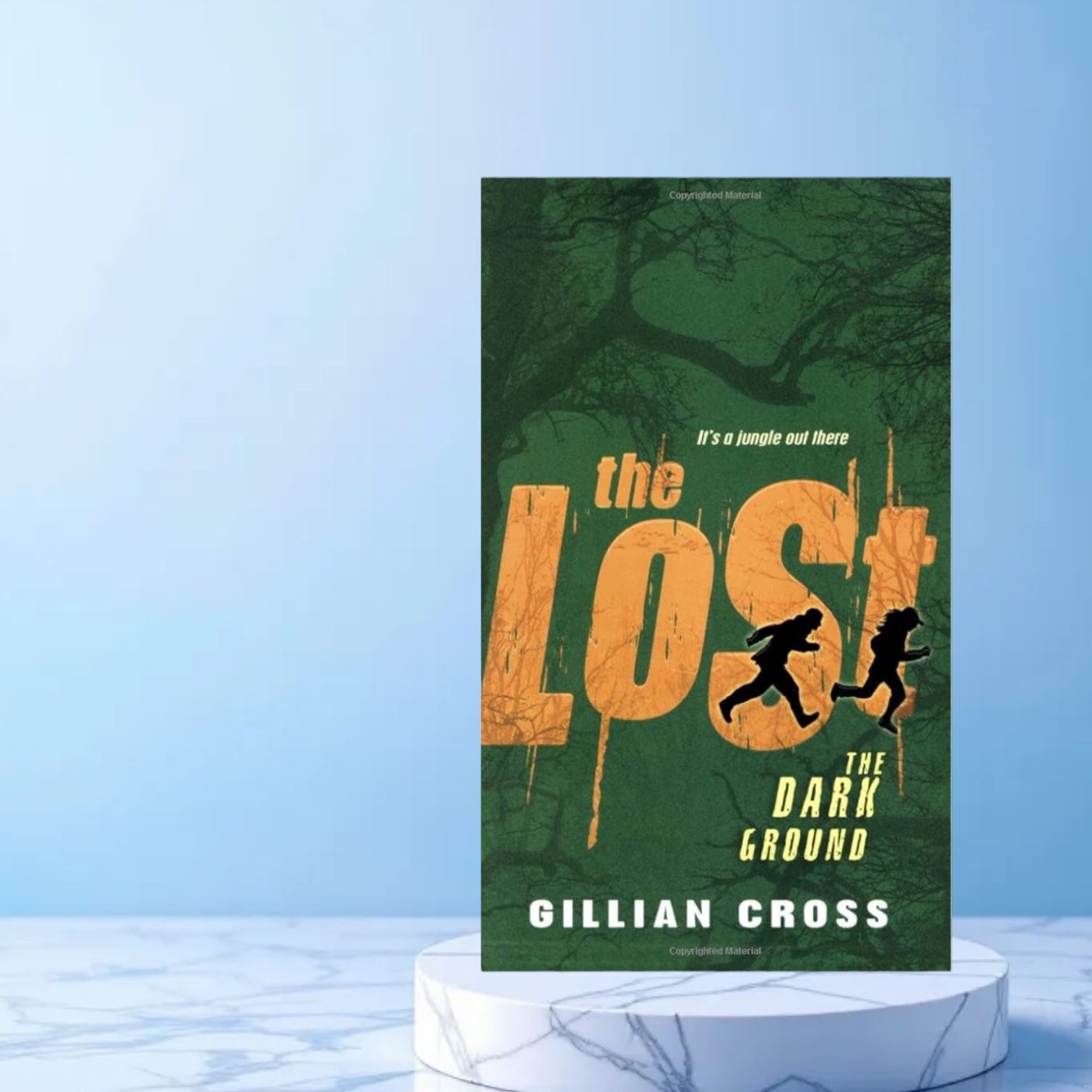 The Lost And The Dark Ground By Gillian Cross