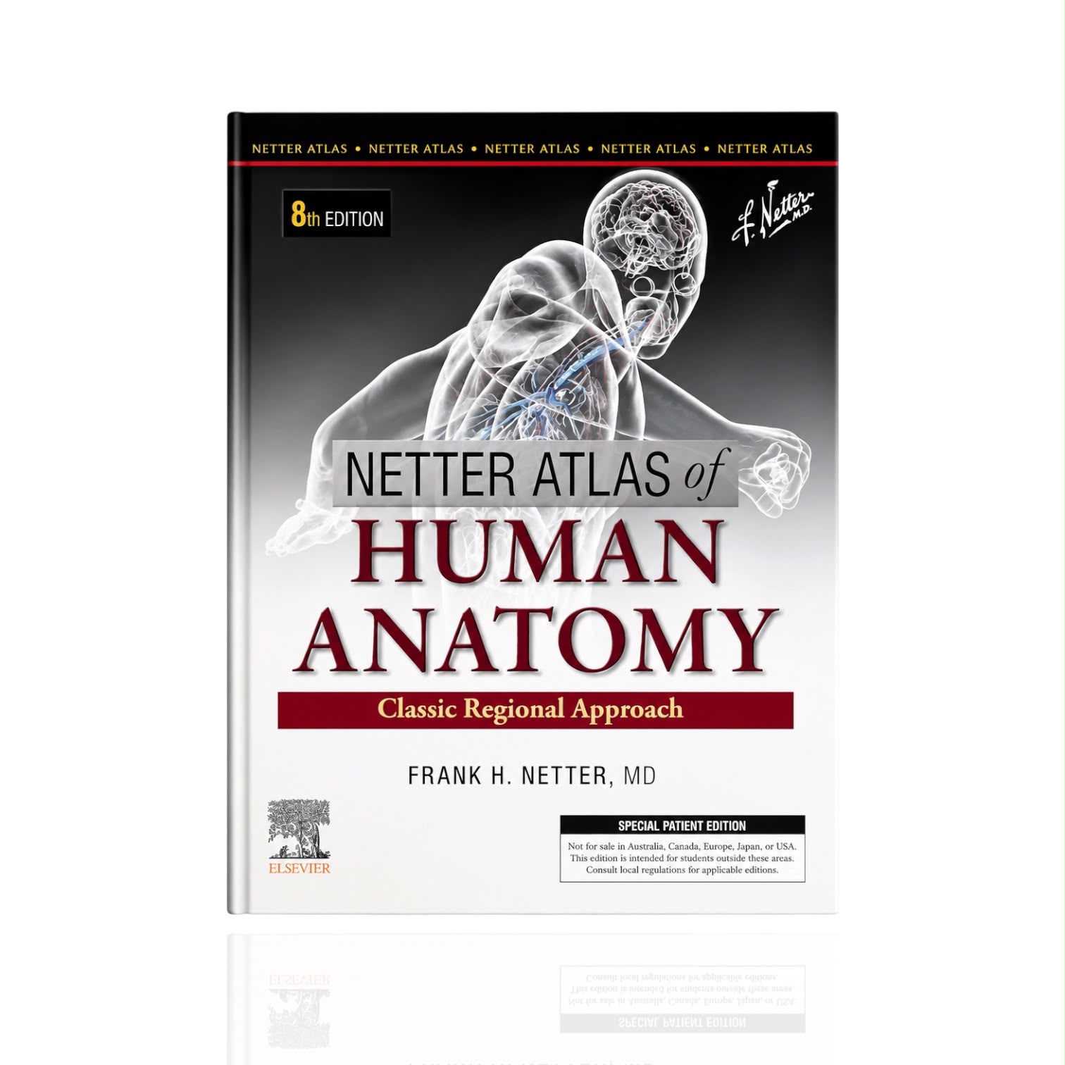 Human Anatomy 8th Edition By Frank H Netter