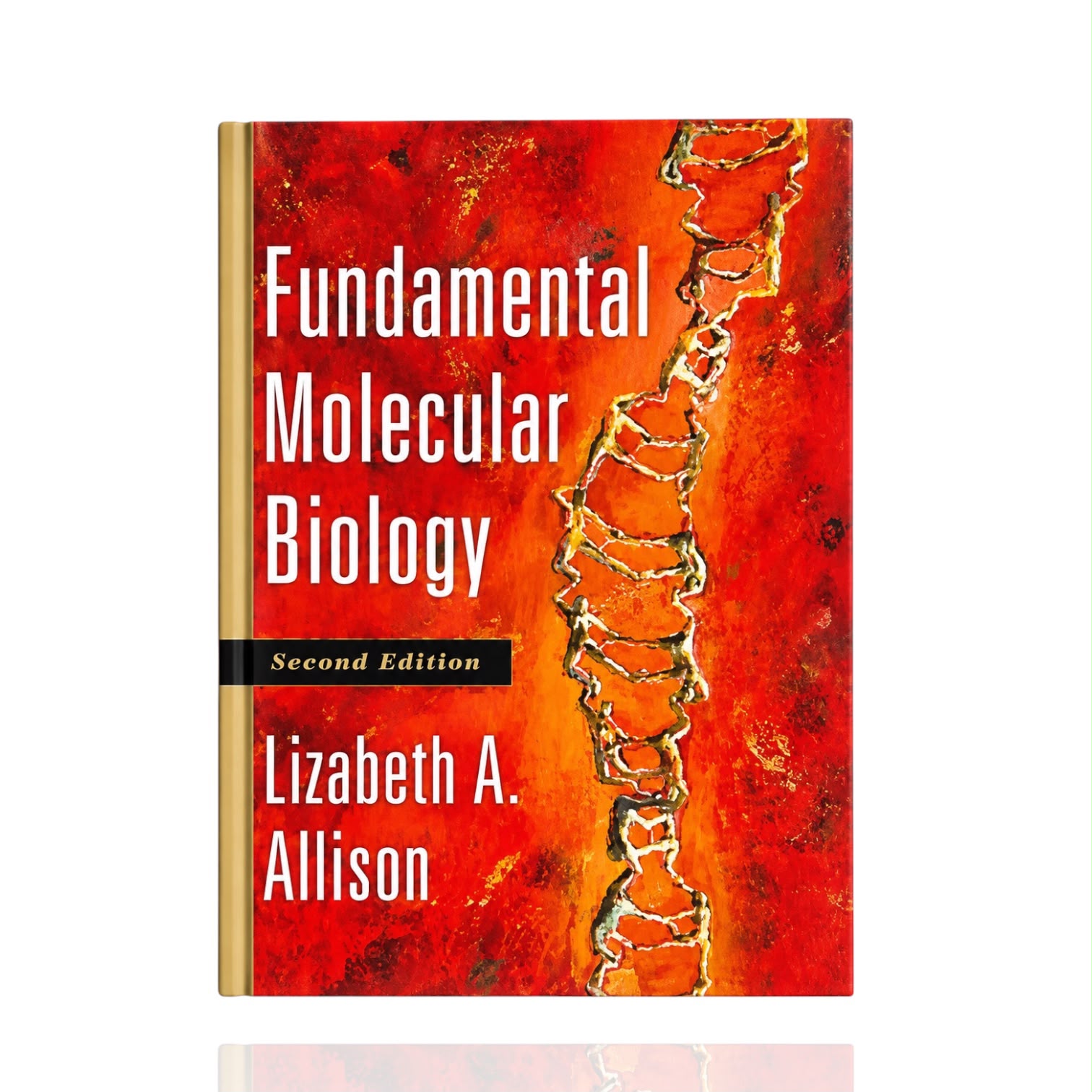 Fundamental Molecular Biology 2nd Ed Lizabeth A Alison