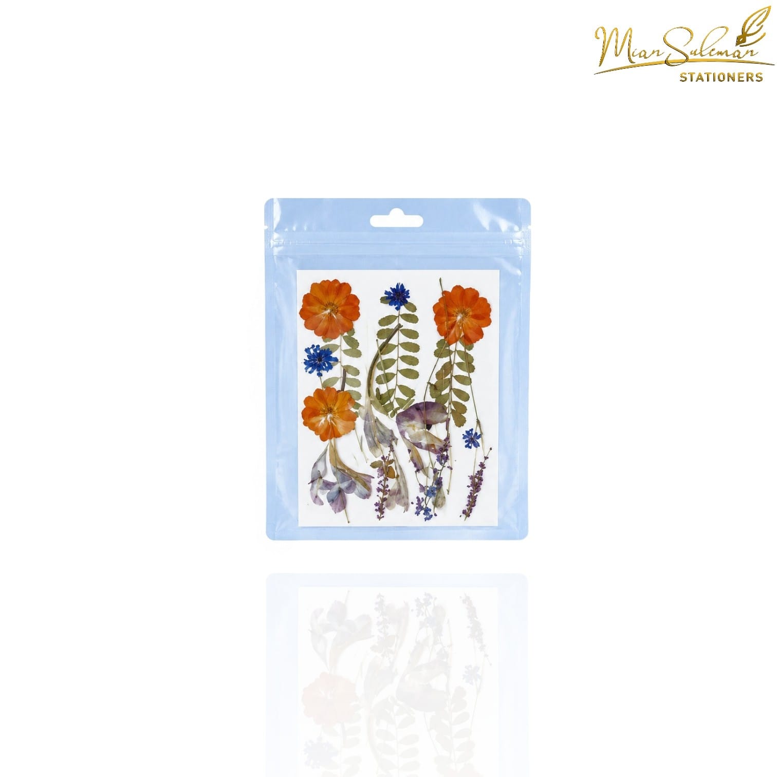 Original Dry flower Press Large Pkt