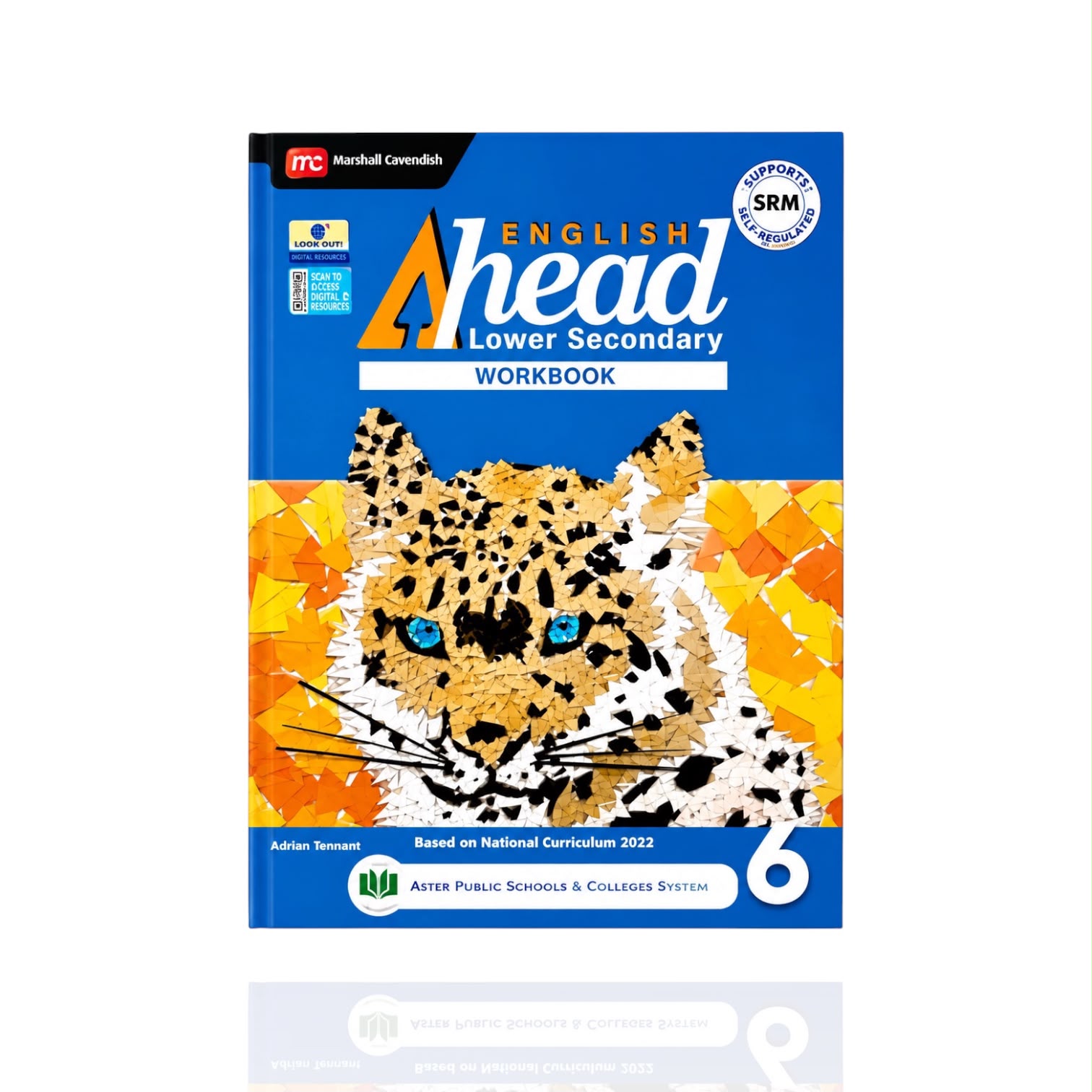 APS English Ahead WorkBook Class-6