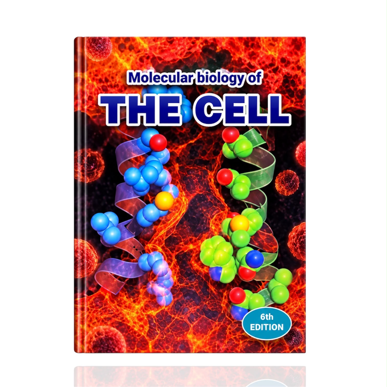 Molecular Biology Of The Cell 6th Edition