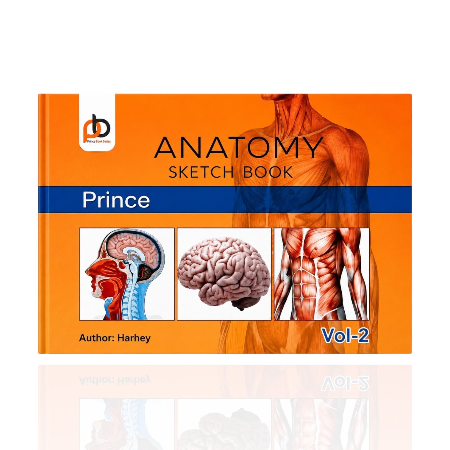 Anatomy Sketch Book